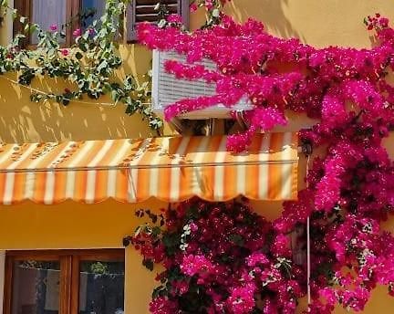 Appartamento In The Heart Of Tuscany Monsummano Terme Eksteriør bilde